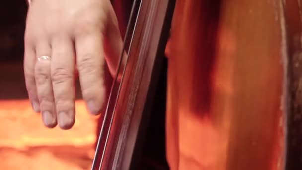 Male of a musician playing a double bass — Stock Video