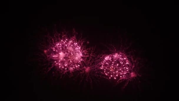Artificii festive pe cerul nopții — Videoclip de stoc