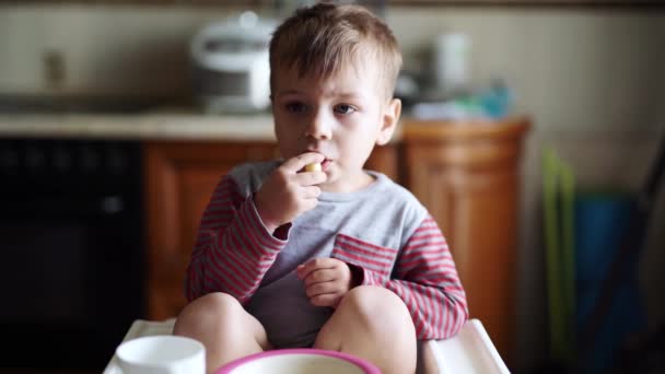 Jongen kijkt tekenfilms en eet koekjes — Stockvideo