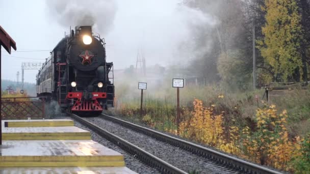 Locomotiva a vapor L-3958 e carros do Ruskeala Express ao longo da rota Sortavala - Ruskeala Mountain Park — Vídeo de Stock