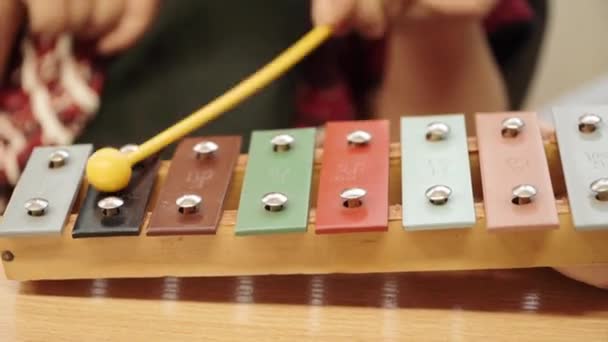 Teaching a child to play the metallophone — Stock Video