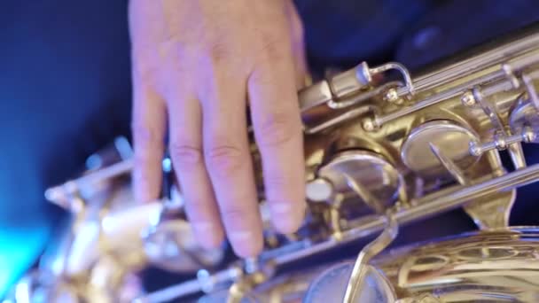 キー上の音楽家の男性の手 — ストック動画