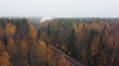 Karelia 'da bir nehrin üzerindeki köprüde bacadan duman çıkan buharlı lokomotif.
