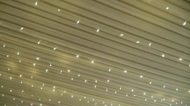 Yazın çatısının altında elektrik çelengi