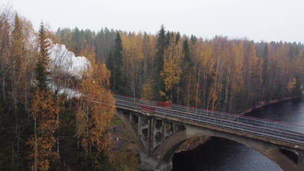 Stoomlocomotief met rook uit een schoorsteen op een brug over een rivier in Karelia — Stockvideo