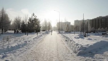 Parktaki karlı yol ve soğuk ağaçlar
