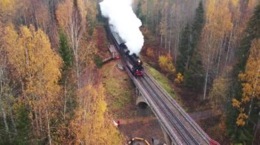 Karelia 'da bir nehrin üzerindeki köprüde bacadan duman çıkan buharlı lokomotif.