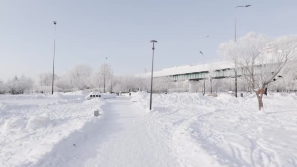Sneeuwoverdekt pad in het stadspark — Stockvideo