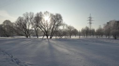 Şehir parkı karla kaplandı.
