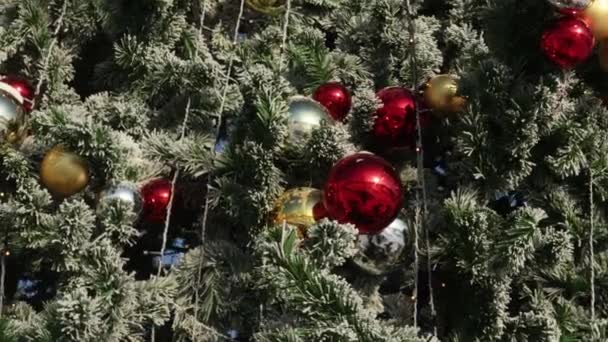 Χριστουγεννιάτικο δέντρο καλυμμένο με χιόνι — Αρχείο Βίντεο