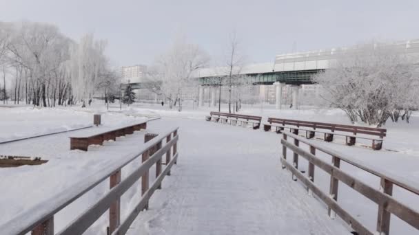 Houten brug en met sneeuw bedekte bomen — Stockvideo