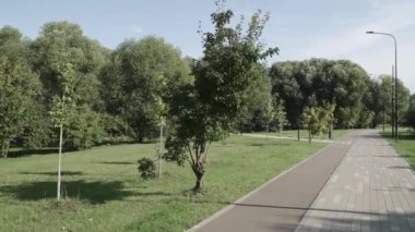 Şehir parkındaki sokak.