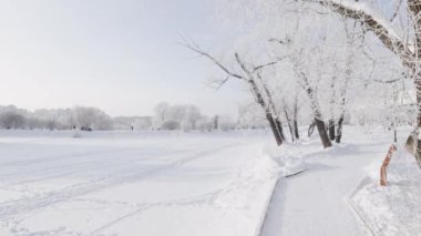 Tahta yol ve karla kaplı ağaçlar.