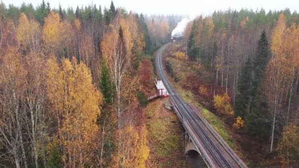 Yanissilta 'ya bir yolcu treni geliyor. — Stok video