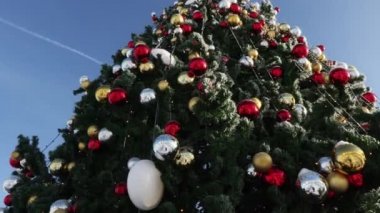 Karla kaplı Noel ağacı