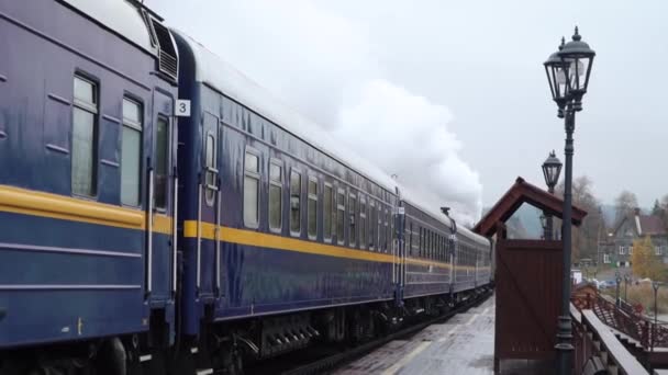 Buharlı lokomotif L-3958 ve Ruskeala Ekspresi 'nden gelen arabalar Sortavala - Ruskeala Dağ Parkı — Stok video