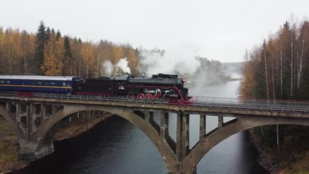 Locomotiva a vapor com fumaça de uma chaminé em uma ponte sobre um rio na Carélia — Vídeo de Stock