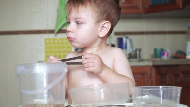 Niño Jugando Con Guisantes Frijoles Envases Plástico — Vídeos de Stock
