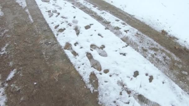 Nieve cayendo en el camino — Vídeo de stock
