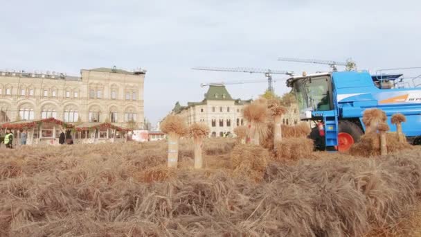 Trigo e colheitadeira na Praça Vermelha — Vídeo de Stock