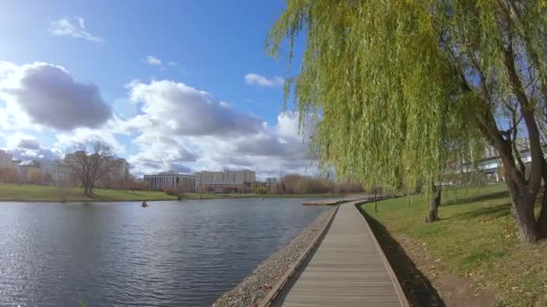 Jalan setapak kayu di dekat kolam — Stok Video