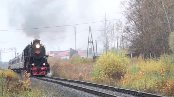 Локомотив Steam L-3958 і автомобілі з Ruskeala Express вздовж маршруту Сортавала - Гірський парк Раскеала — стокове відео