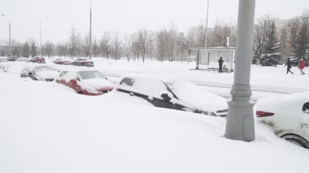 Carros cobertos de neve — Vídeo de Stock