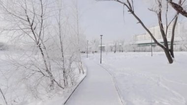 Şehir parkında karla kaplı yol