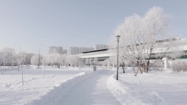 Caminho coberto de neve no parque da cidade — Vídeo de Stock