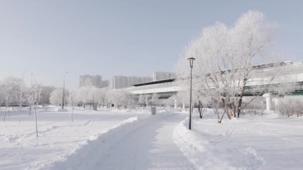 Sendero cubierto de nieve en el parque de la ciudad — Vídeo de stock