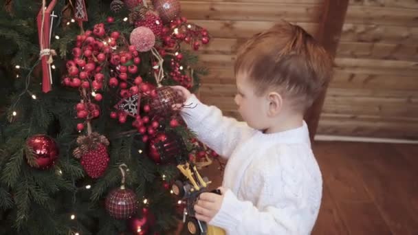 Мальчик трогает и играет с рождественской елкой — стоковое видео