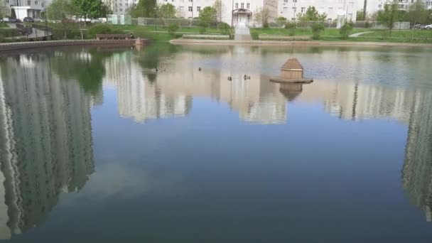 Małe jezioro w parku — Wideo stockowe