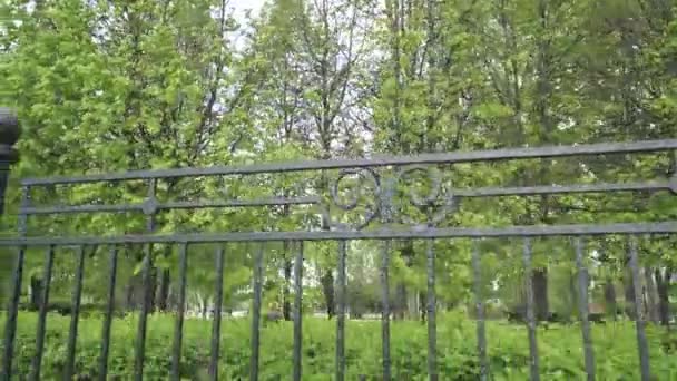 Iron fence of a city park — Stock Video