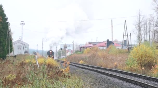 Stoom locomotief L-3958 en auto 's van de Ruskeala Express langs de route Sortavala - Ruskeala Mountain Park — Stockvideo