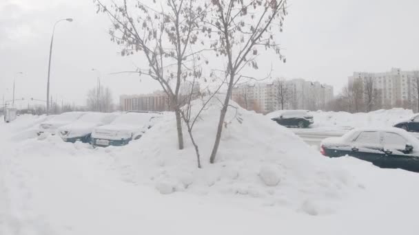 Автомобили, покрытые снегом — стоковое видео
