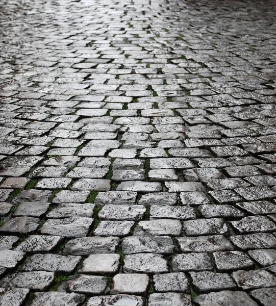 Wet cobbles of block pavement — Stock Photo, Image