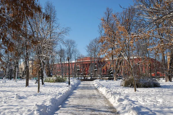 Χειμώνας πόλη σκηνή, πλατεία του Πανεπιστημίου κράτους Κίεβο — Φωτογραφία Αρχείου