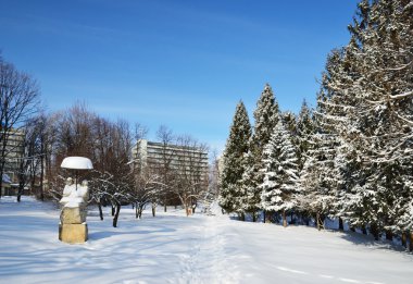 truskavets kış parkı
