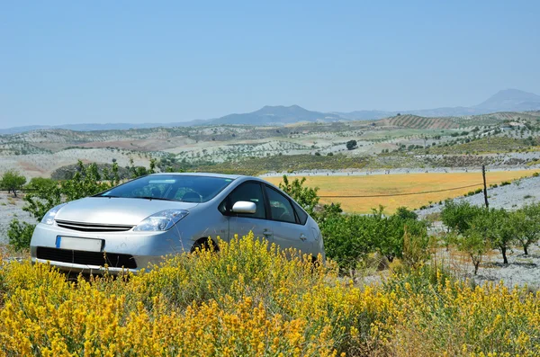 Country landscape of Murcia in spring — Stock Photo, Image