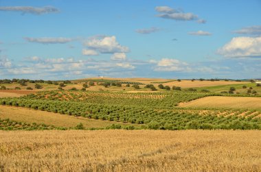 İspanyol ülkenin peyzaj bahar