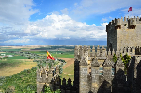 Almodovar kasteel over de groene vallei van de rivier de guadalquivir — Stockfoto