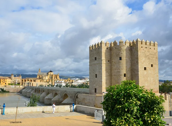 Römische Brücke von Cordoba — Stockfoto