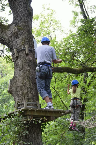 Children at ropes course on the trees — Stockfoto