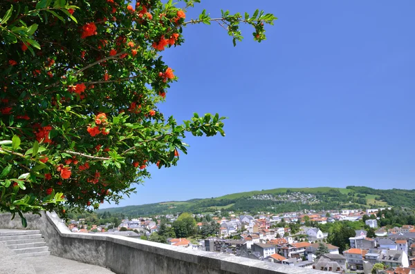 Sommer Ansicht von Lourdes — Stockfoto