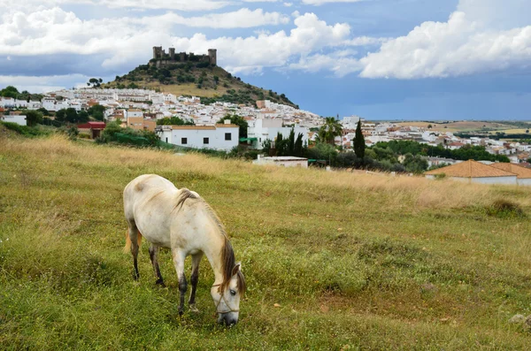 Spanish landscape with a castle and a horse — Stock Photo, Image