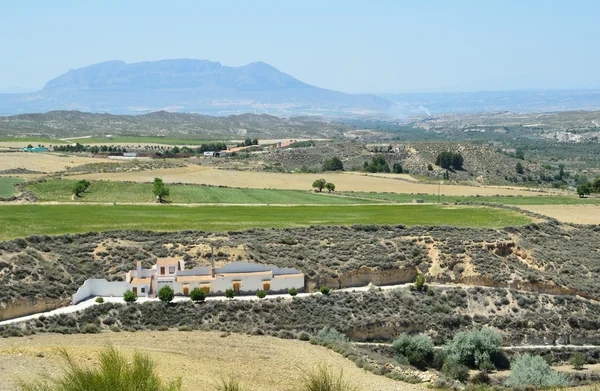 Spring view of Granada — Stock Photo, Image