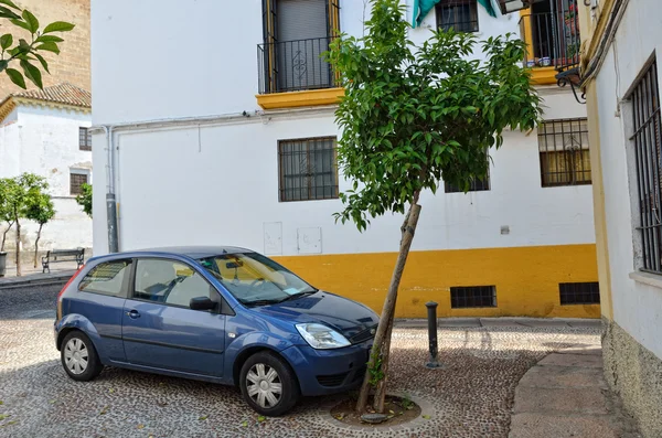 Car parked close to the tree — Stock Photo, Image