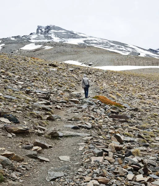 Senderista subiendo al pico Veleta en la Sierra Nevada —  Fotos de Stock