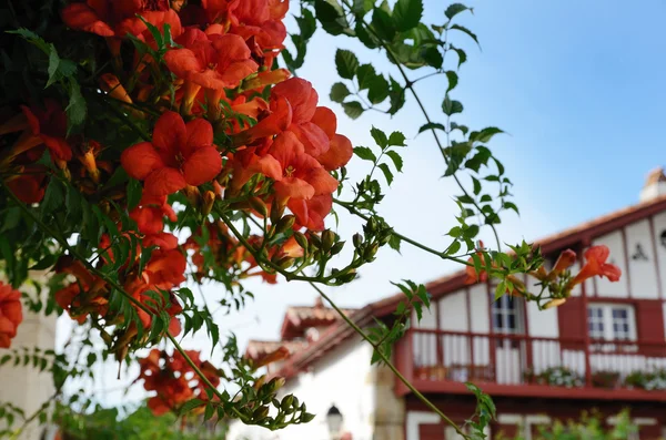 Καλοκαίρι θέα τη βασκική πόλη la bastida-clairence — Φωτογραφία Αρχείου