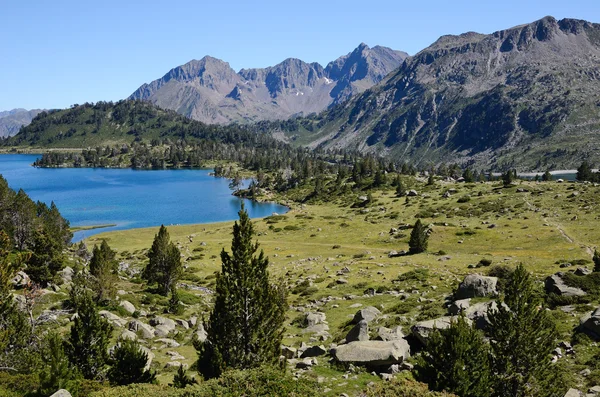 Neouvielle nature reserve in the summer Pyrenees — Stock Photo, Image